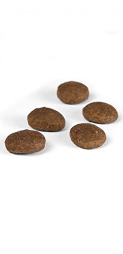 JOSERA-Festival - 15kg Sack - 3